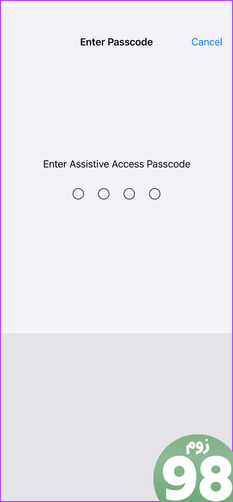 رمز عبور را برای راه اندازی دسترسی کمکی وارد کنید