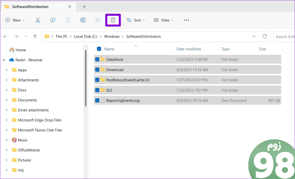 Delete Software Distribution Files on Windows