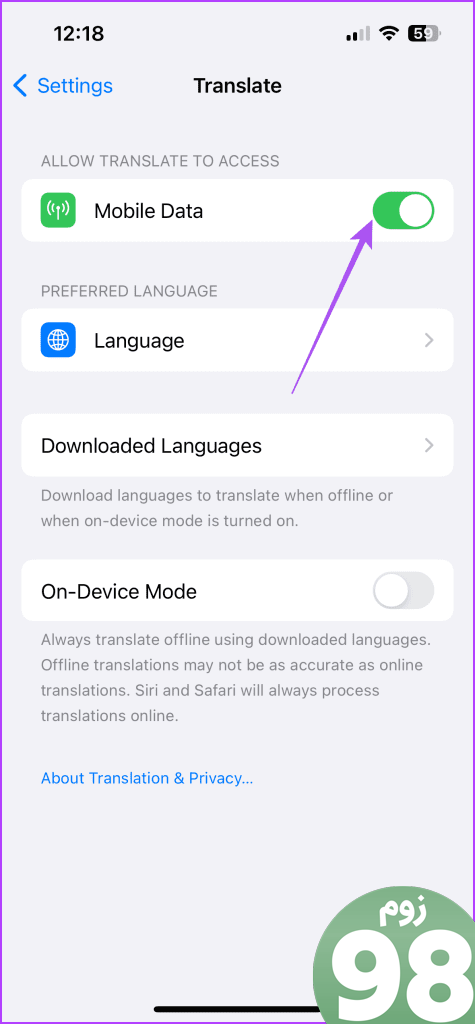 فعال کردن داده تلفن همراه با استفاده از برنامه ترجمه آیفون