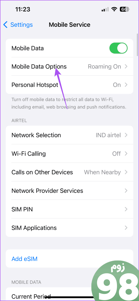 تنظیمات گزینه های داده تلفن همراه آیفون 1