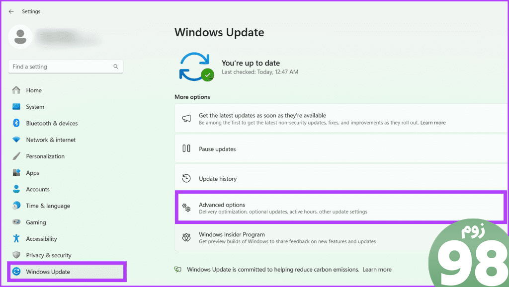 Windows Update را انتخاب کنید و گزینه های پیشرفته را انتخاب کنید
