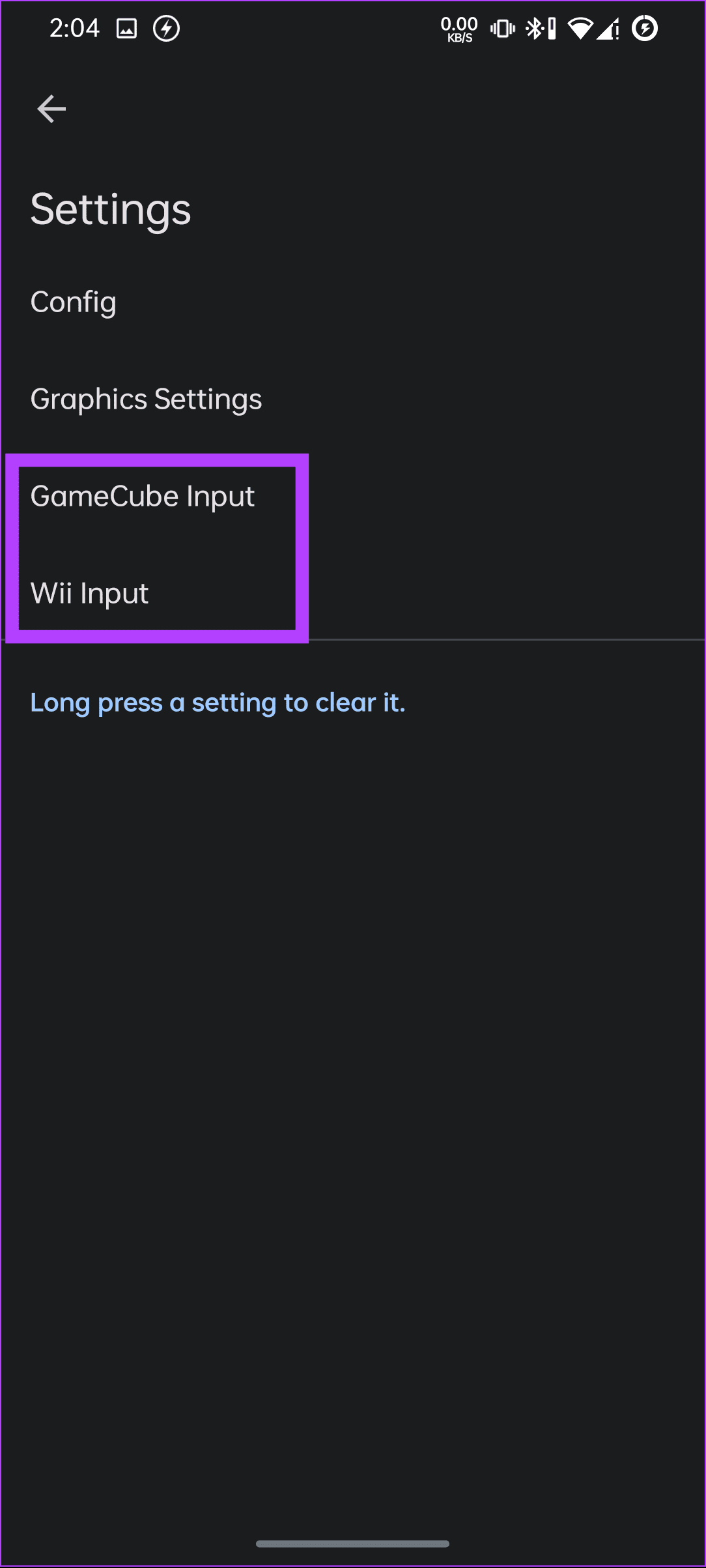 بین ورودی Gamecube یا Wii یکی را انتخاب کنید