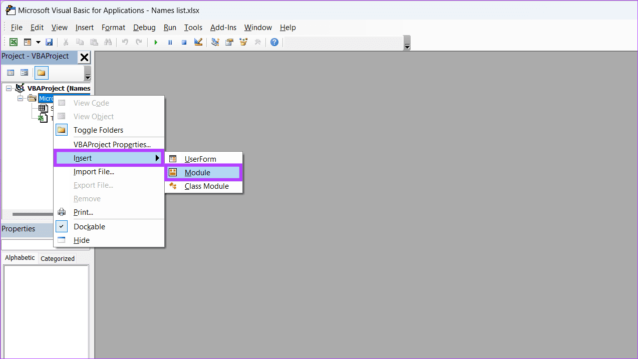 روی هر آیتمی در پنجره Project Explorer کلیک راست کنید و Insert را انتخاب کنید و سپس Module را انتخاب کنید